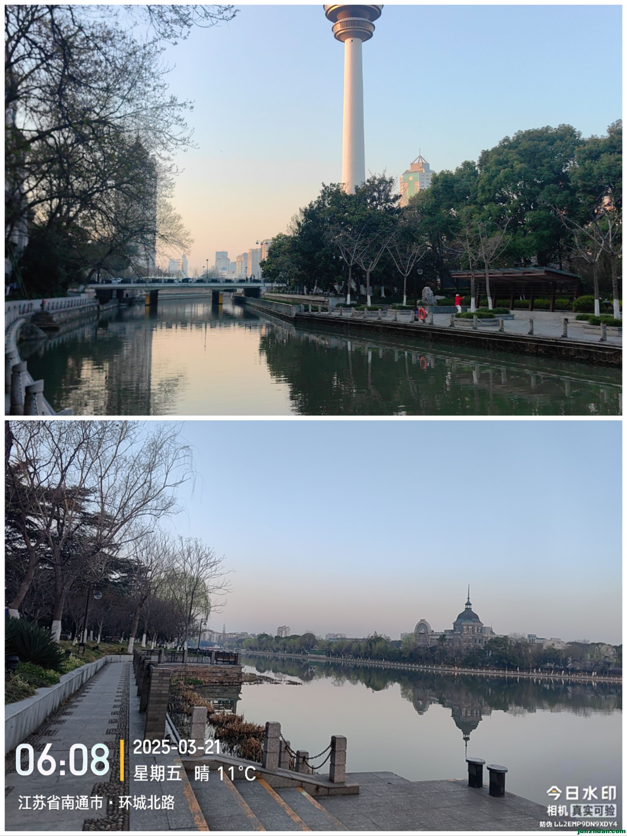 Collage_20250326_085245.jpg