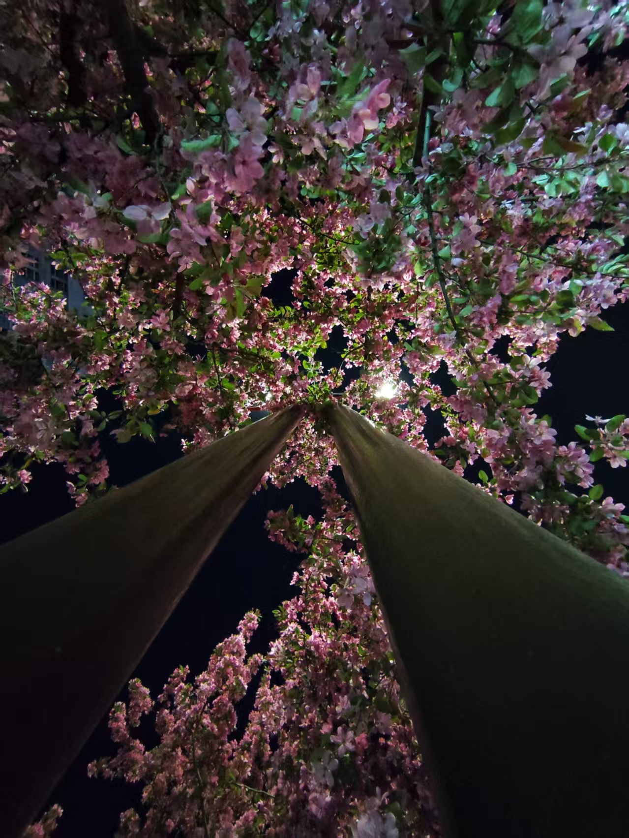 ΢ͼƬ_20250410150856.jpg