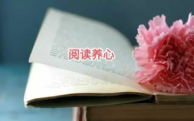 mmexport1744317563510.jpg