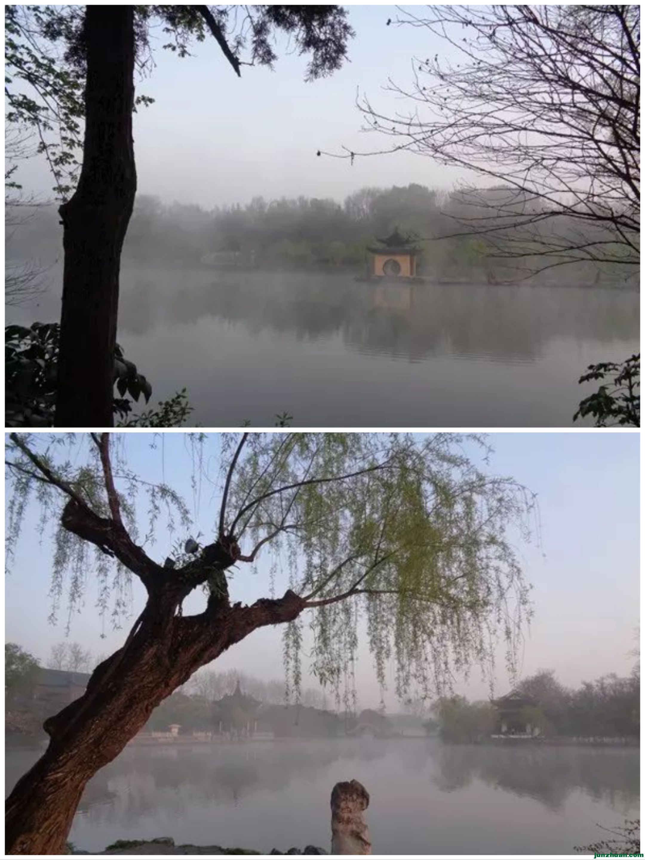 Collage_20230924_152233.jpg