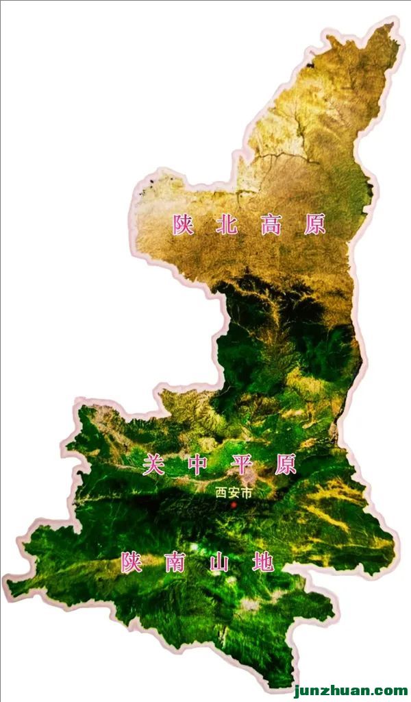 üת (9).jpeg