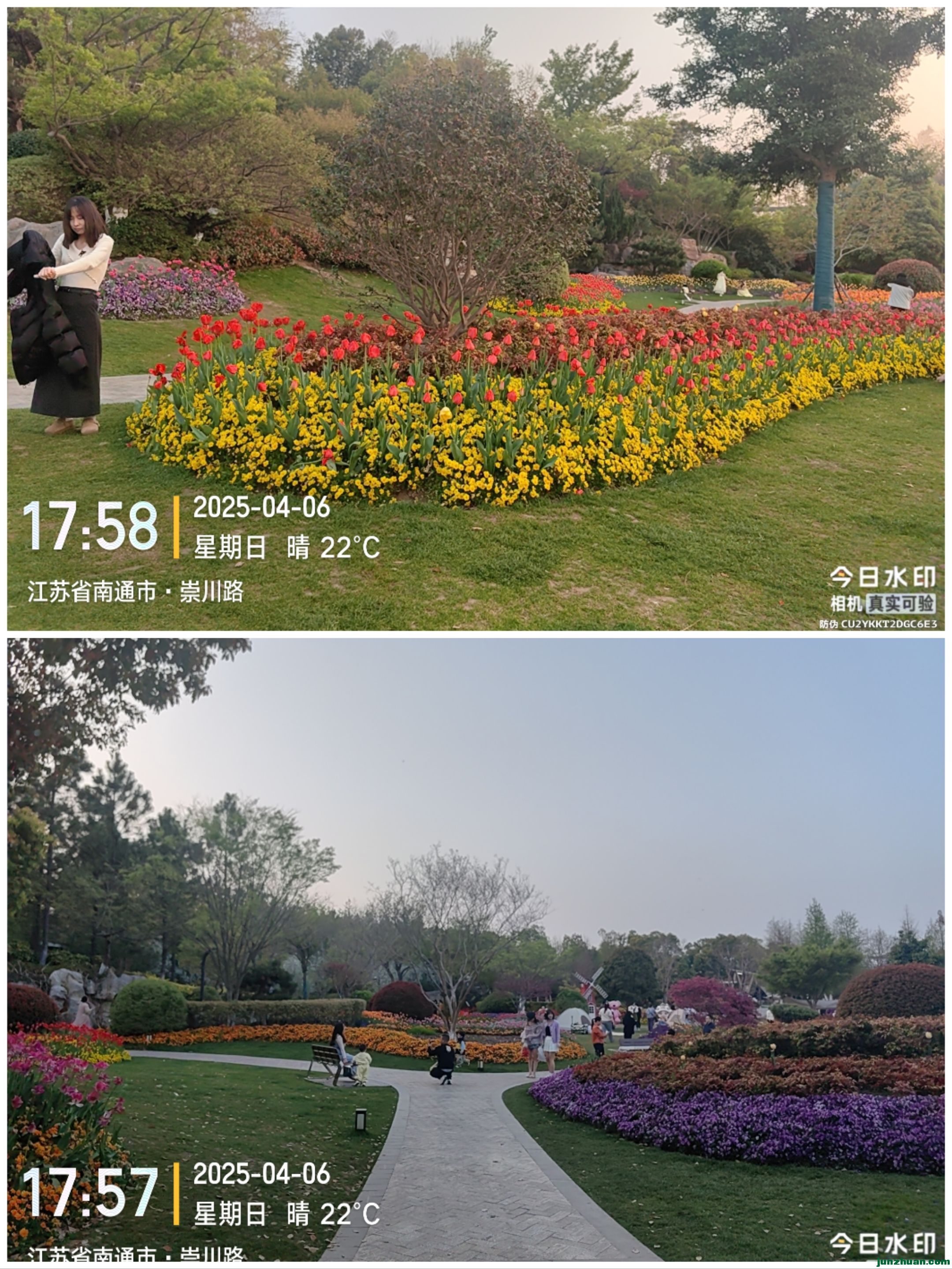 Collage_20250408_093119.jpg