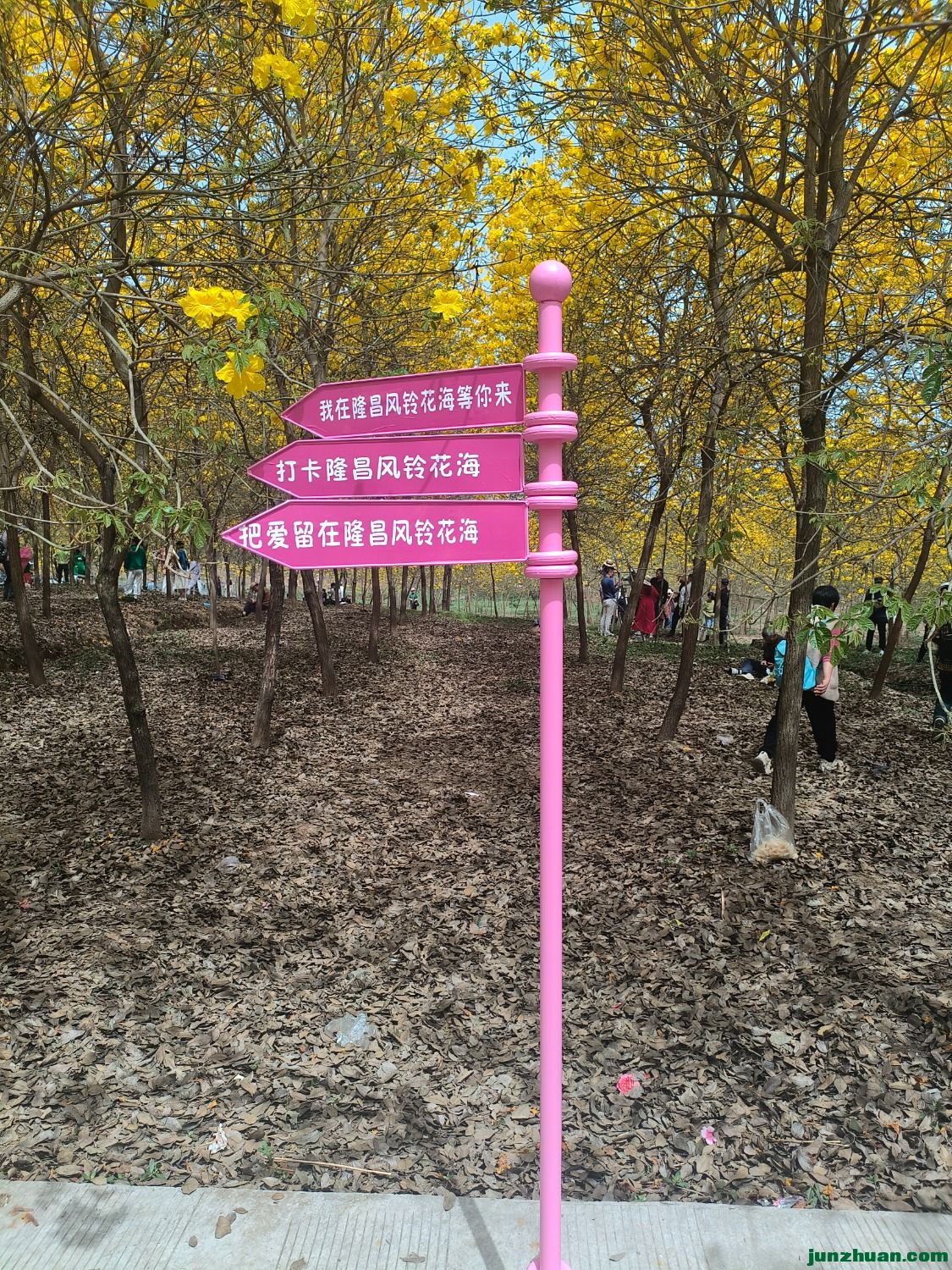 IMG20250413105352.jpg
