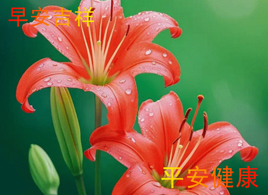 091336knh5h0t4zn5oxj05.gif