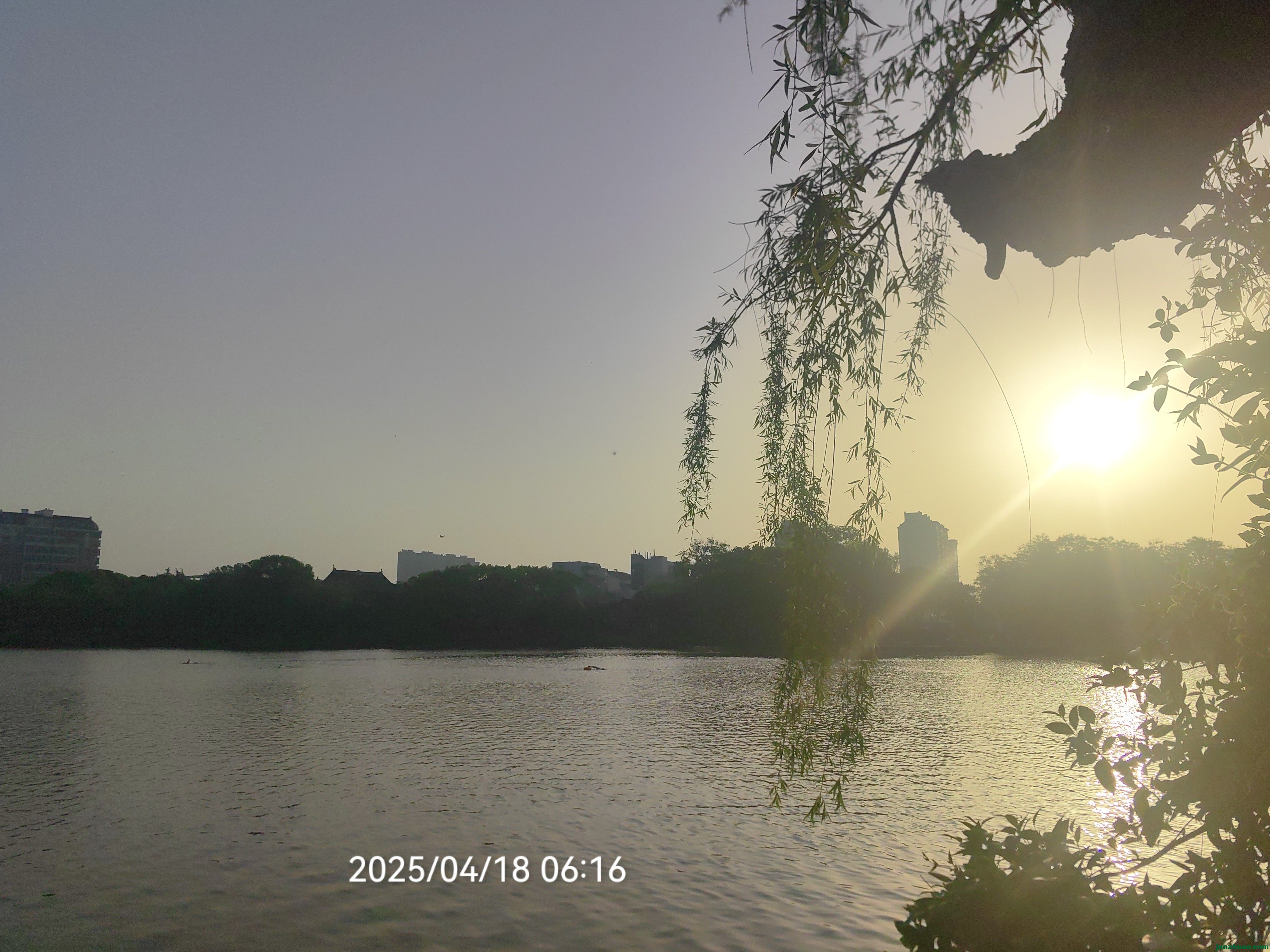 IMG_20250418_061646.jpg