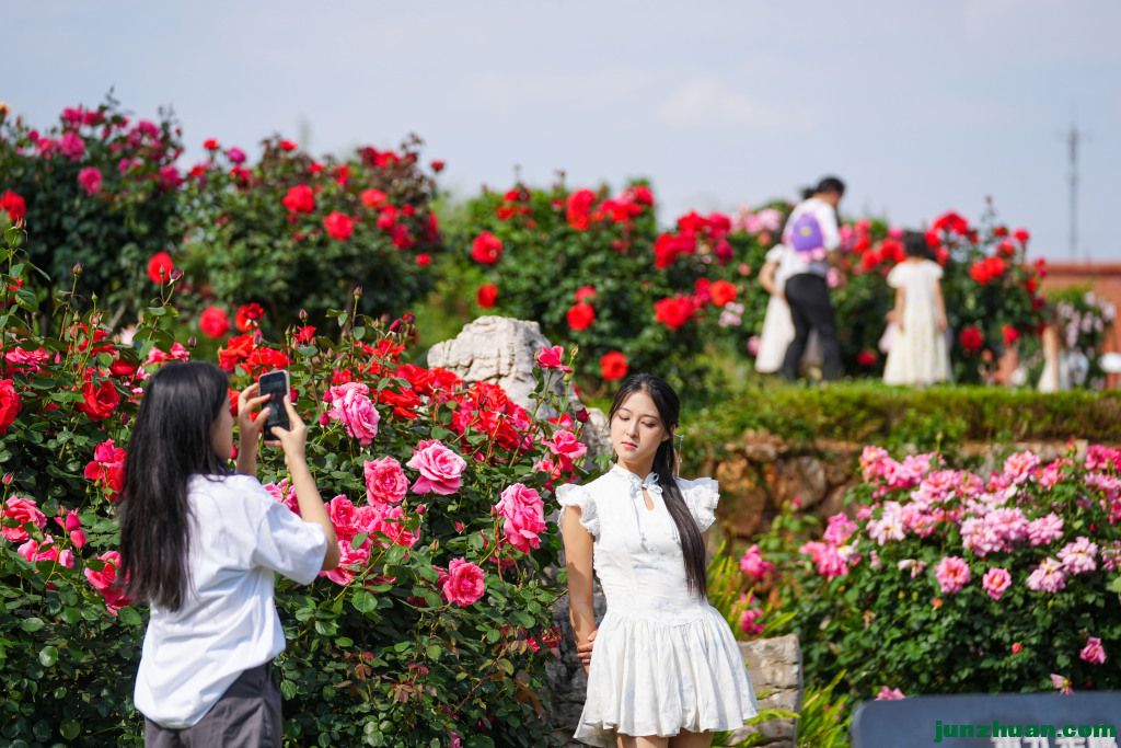 3eae990db7afcd21e6e1ca5ee71bbd7du5.jpg