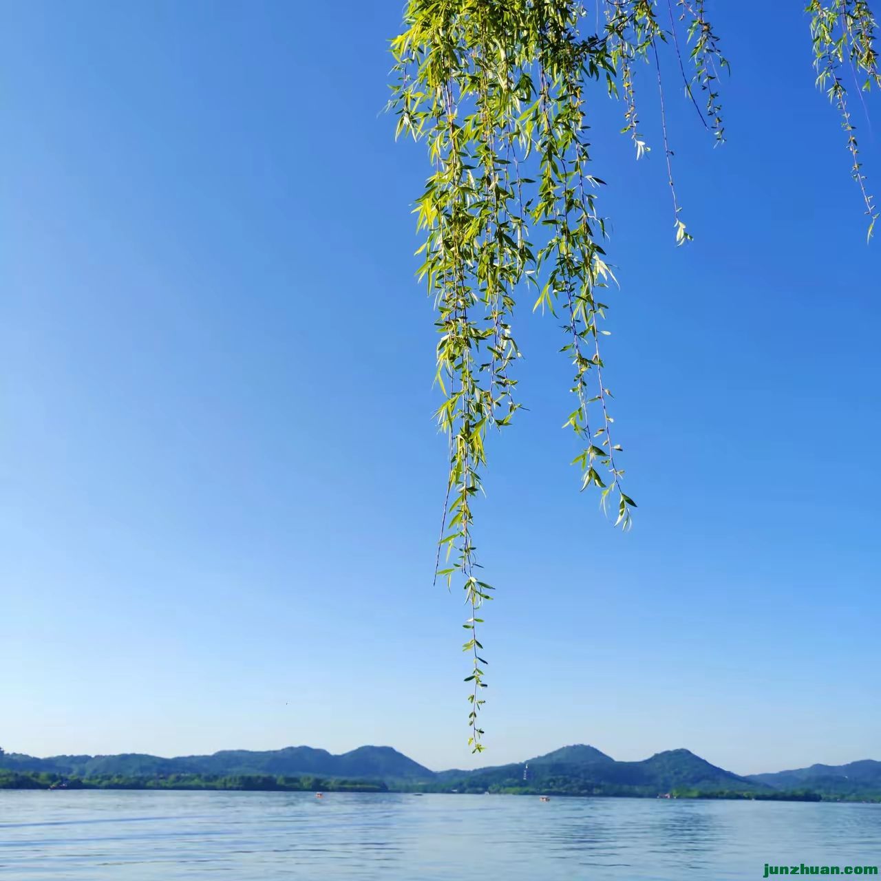 e2f404905cb515a30ad9fcb01f65fc8b (1).jpg