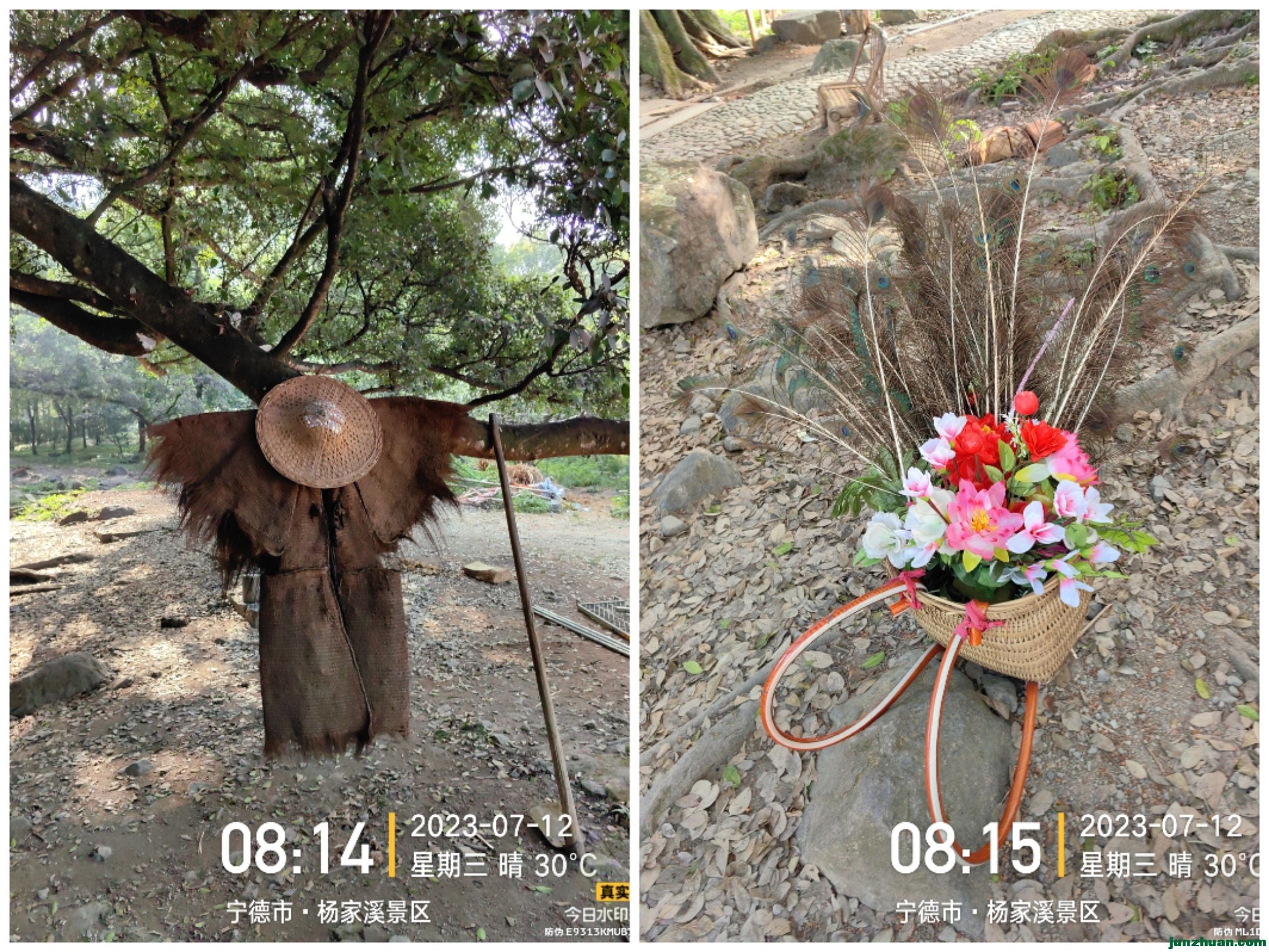 Collage_20230717_101856.jpg