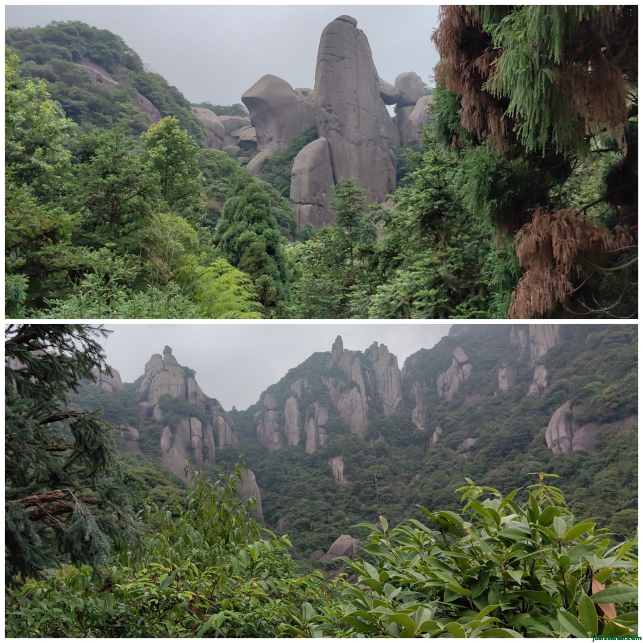 Collage_20230717_100520.jpg