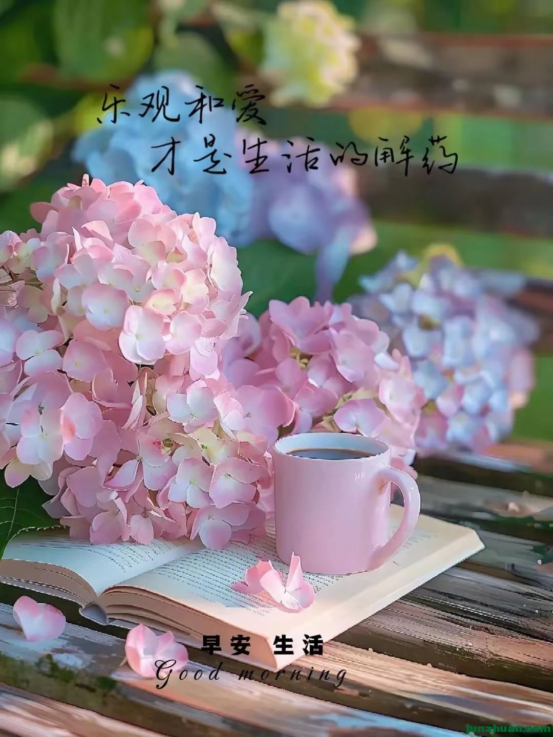 c12d9b316f55b6f851ea8b864b851d2e.jpg