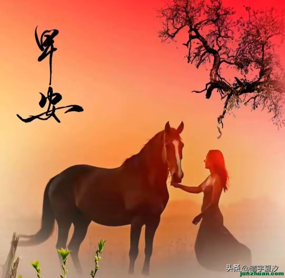 9b41b9710e244adab746cc89b81192a.jpg