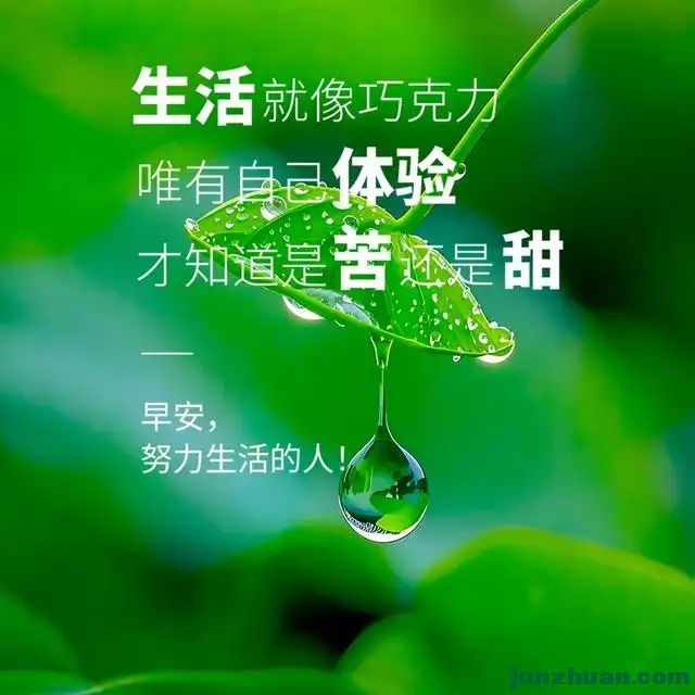 296489402_8_20250414060429917.webp.jpg