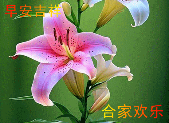 091255qq00fqspzsy0tyap.gif