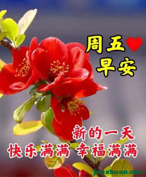mmexport0a6142bf89ee35aac2b1d1303a756951_1747341128327.jpeg