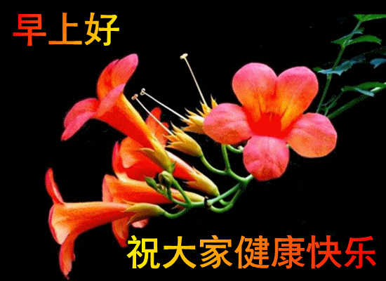mmexportcf61c1d8da88fd13d499465706dbc1a8_1747382944974.gif