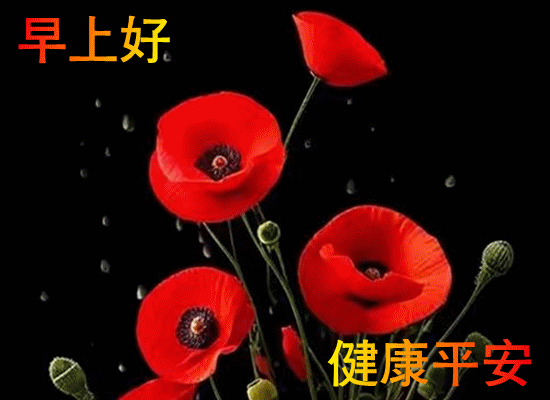 mmexportbcdb6a2fc4ef86773674f584840998ab_1747382940316.gif