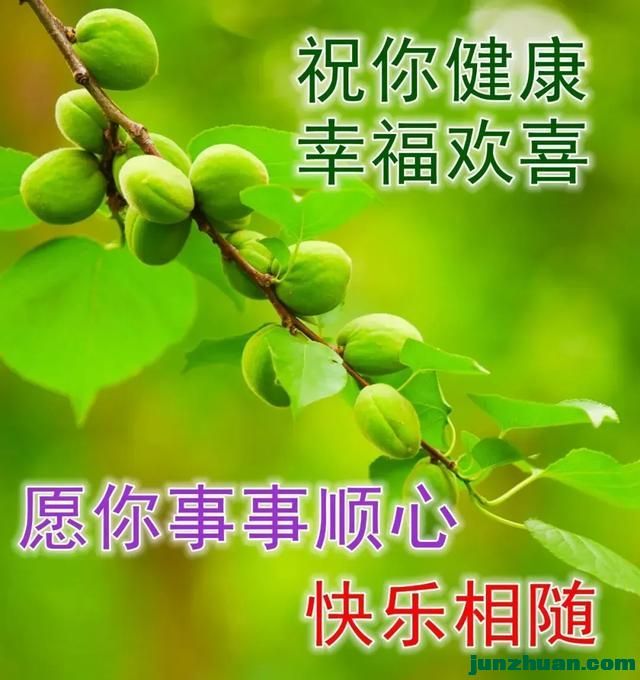 mmexport1b815e4a7b1e033bb8ed27eae7dc56c8_1749589591800.jpeg