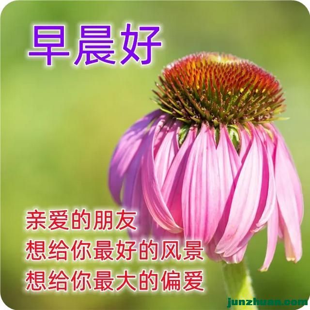mmexport25ac95f1706ac9c0cc527b9e0a0c072e_1749675279427.jpeg