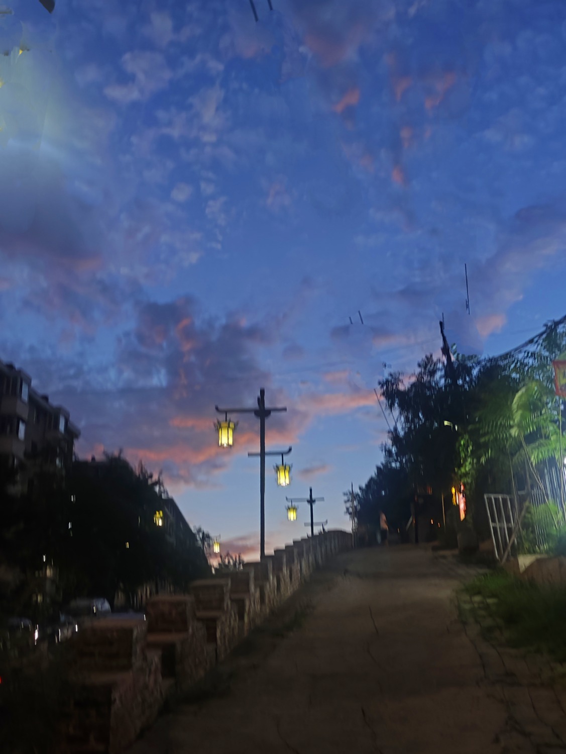 IMG_20250806_034808.jpg