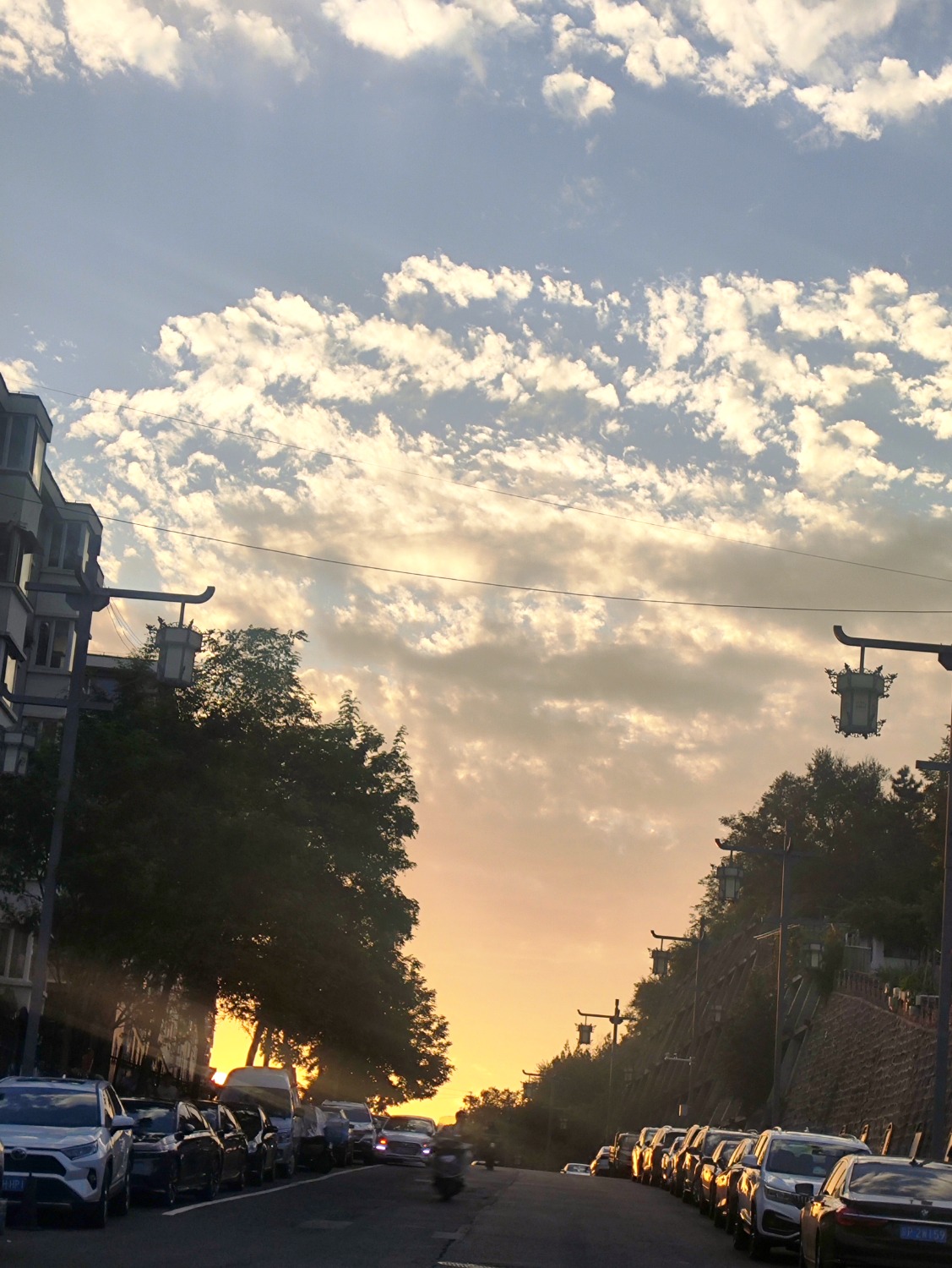 IMG_20250806_034808.jpg