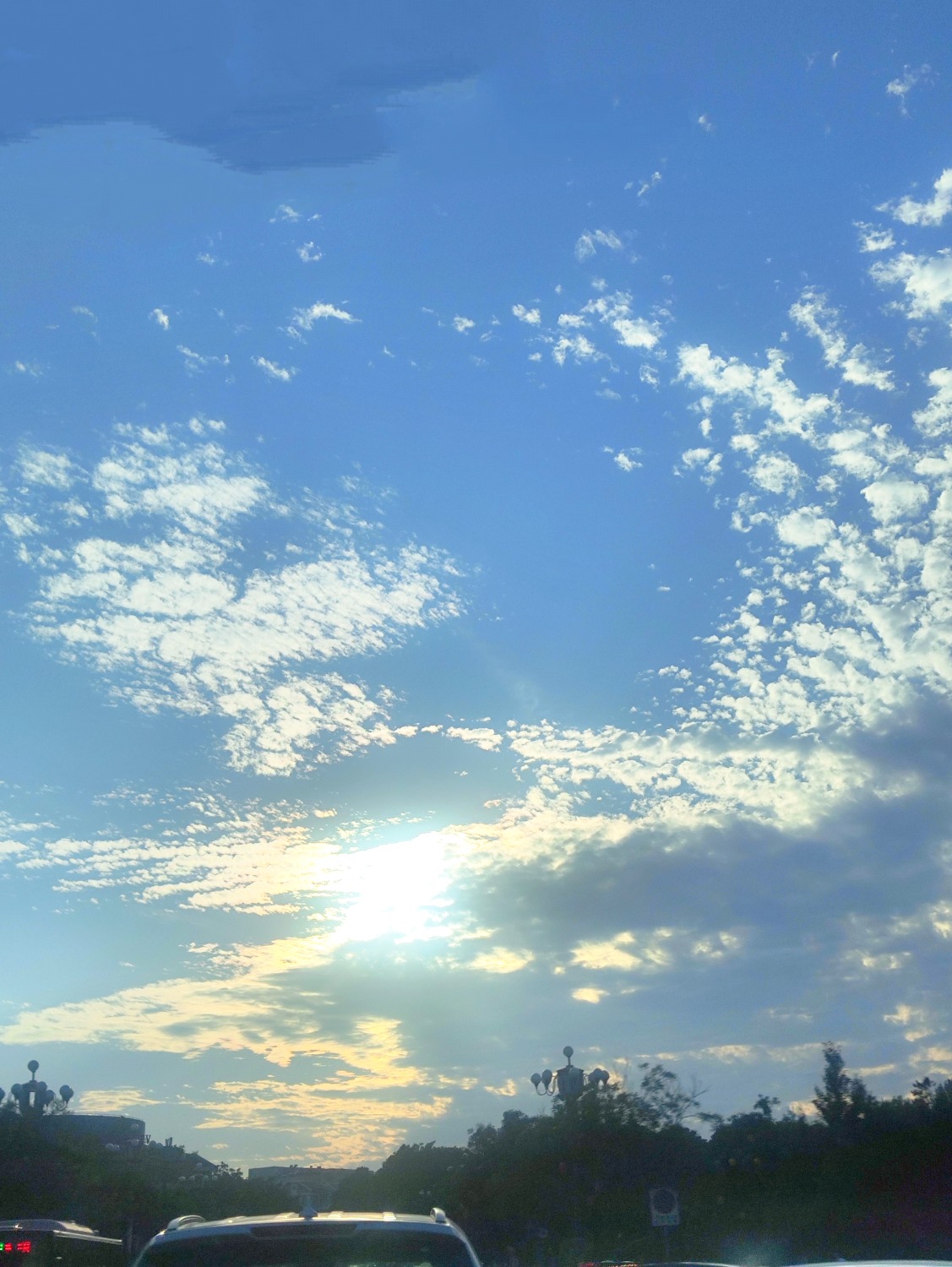 IMG_20250806_034808.jpg
