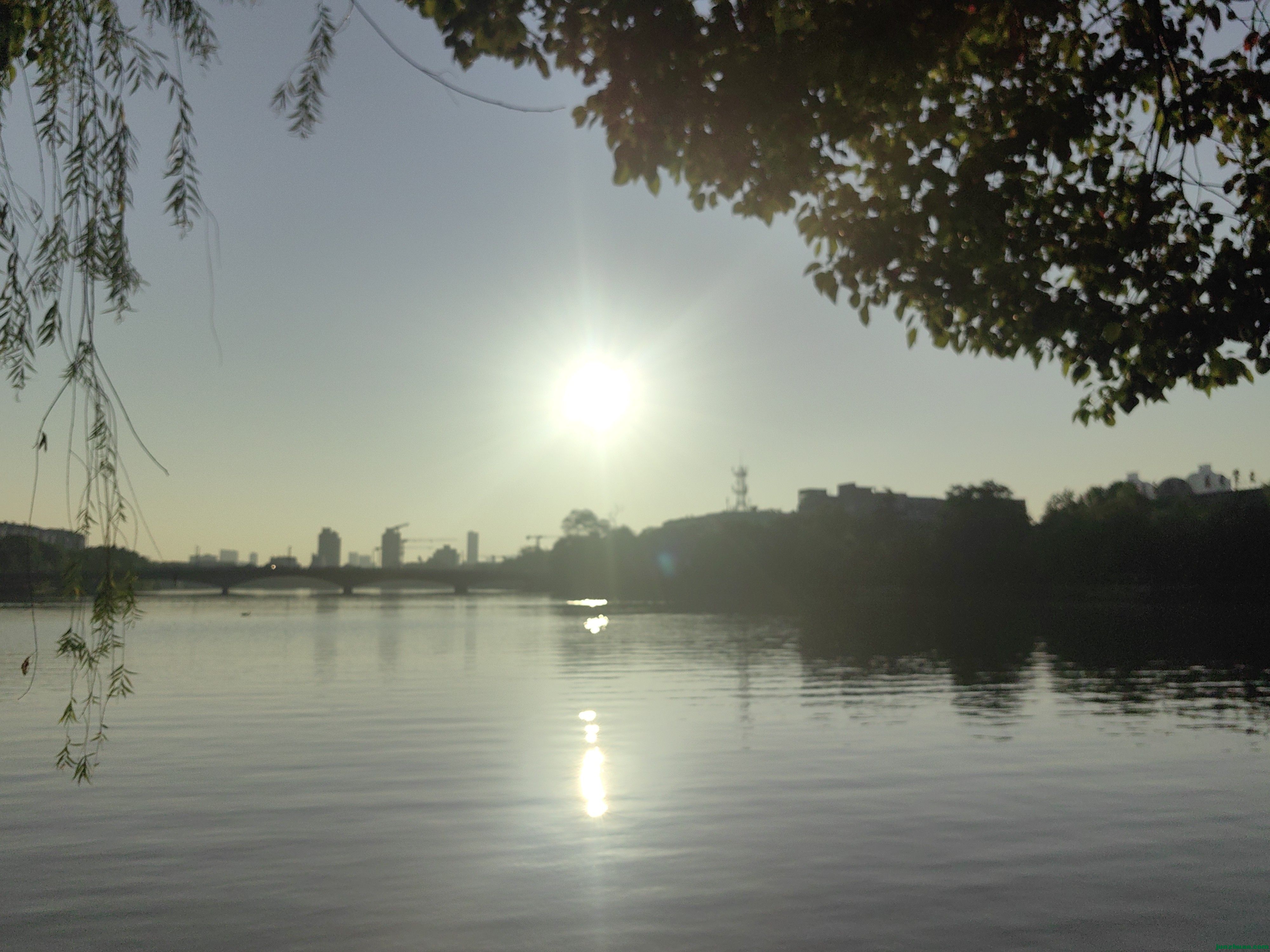 IMG_20250916_063533.jpg