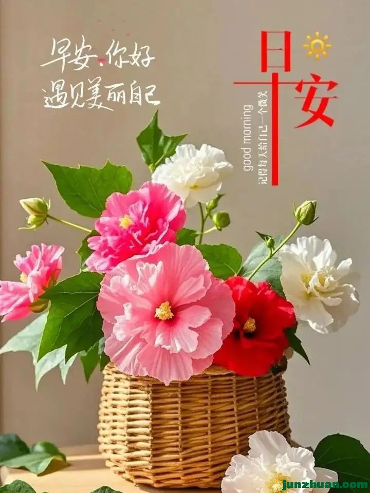 mmexport002ae3b7ee9577d6c43d2e3543ab141b_1758589699277.jpeg