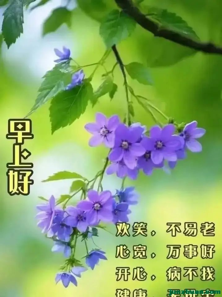 mmexportd1442df18db56180bf667841f97dea68_1761080014019.jpeg