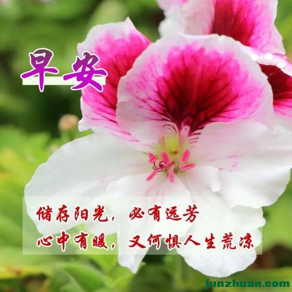 mmexportd7eaf74453d719f8e3f16c91b1ad0217_1761423550927.jpeg