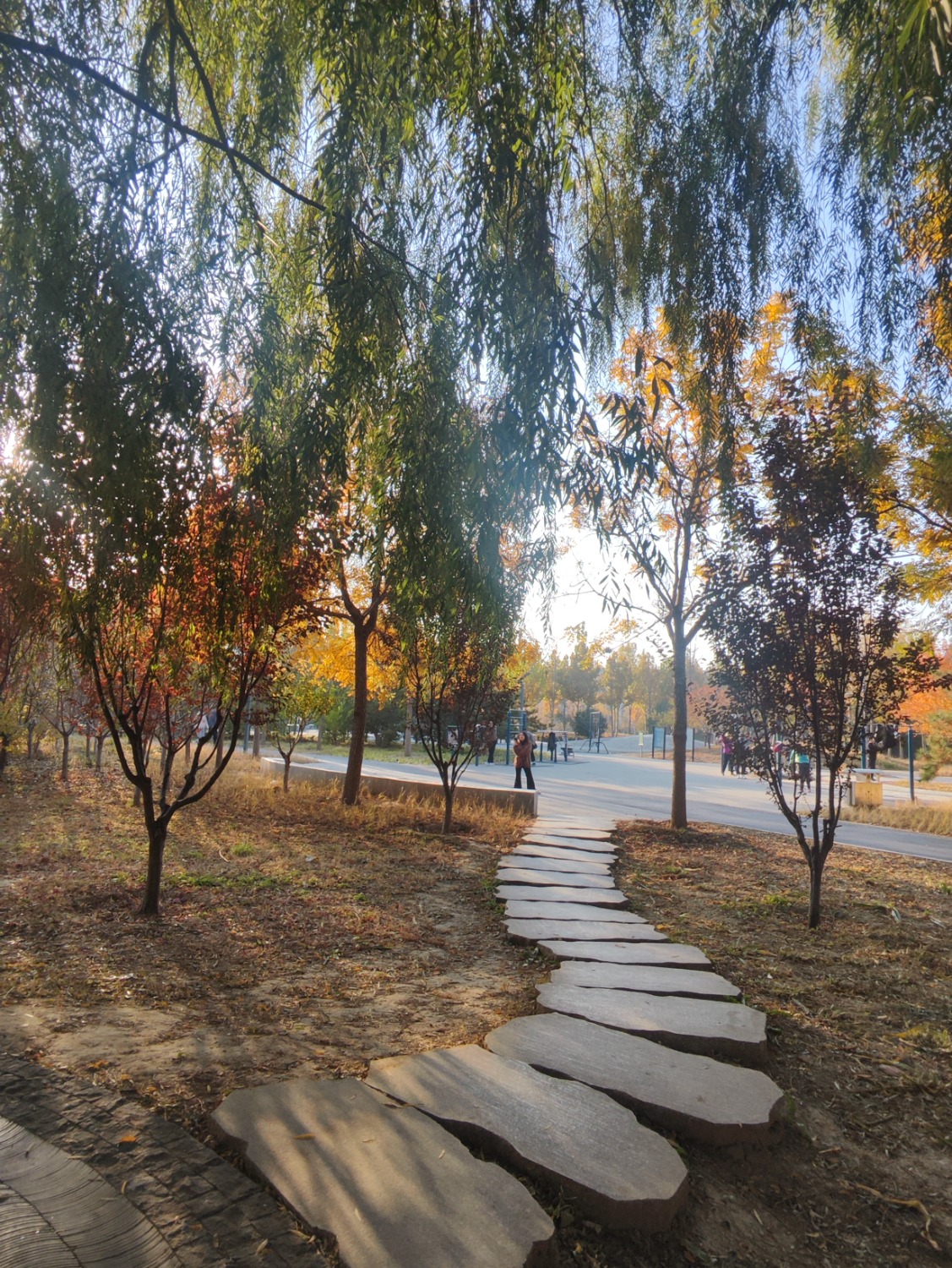 Ƭ(2689)ģͨͯҽԺС·