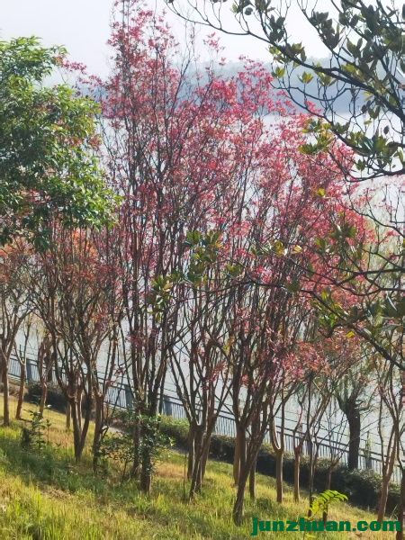 webwxgetmsgimg (8).jpg