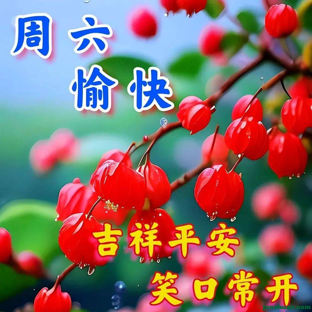 mmexportfff4a2028fedf005e788c54a773d1072_1762550113384.jpeg