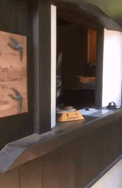 ��ÿ��һ����֮2279