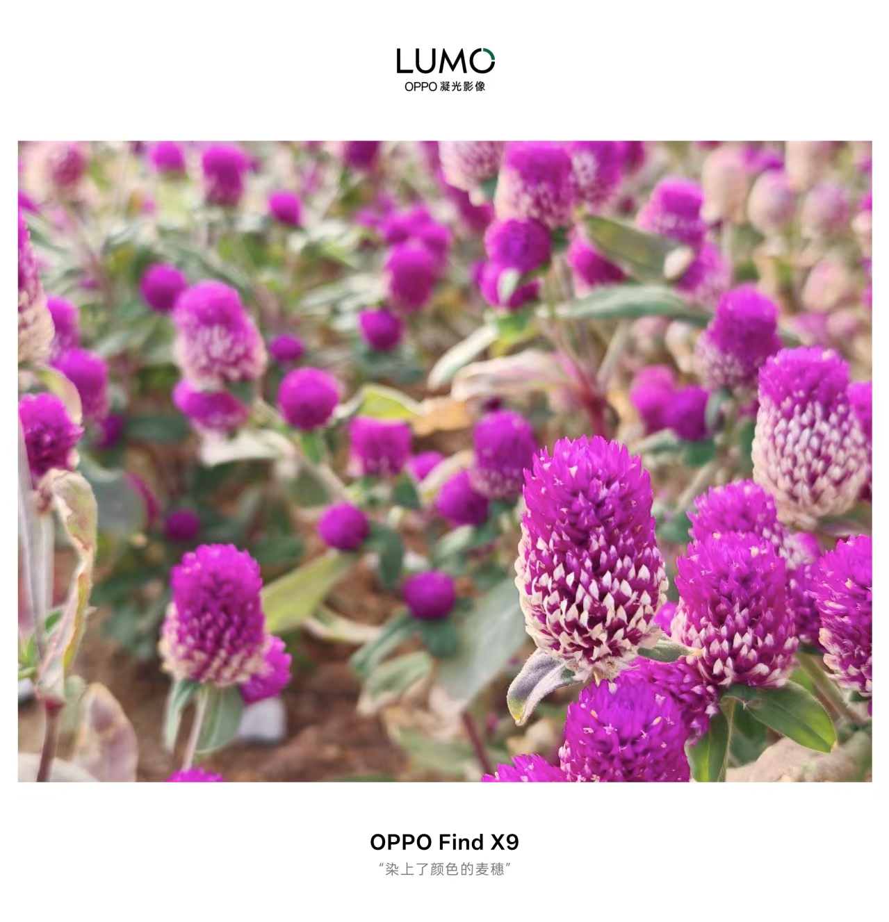 ����İ�����ǧ�պ�