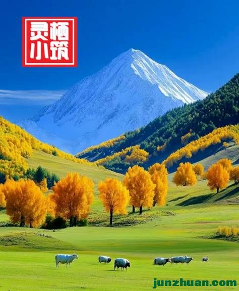 ����С����1272��