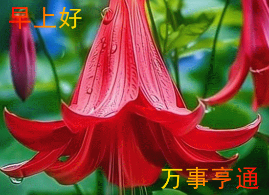 ��2026��Ԫ�����ϱ�֮��Ԫ�·�ǩ������