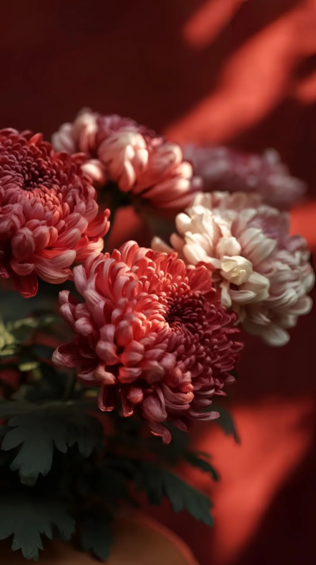 Ц������ÿһ��