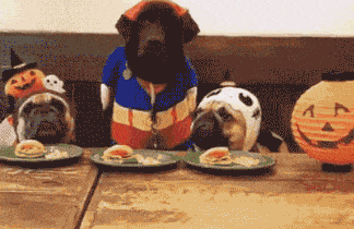 ��ÿ��һ����֮2298