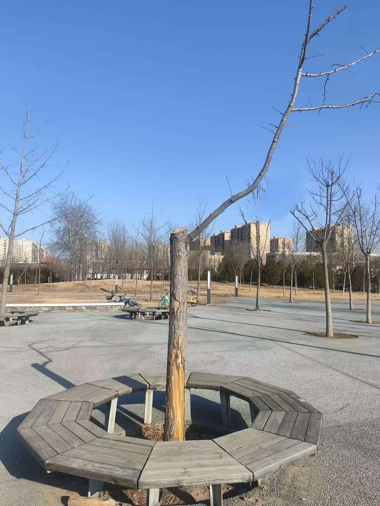 ��Ƭ��(2744)�ڴ���԰����:����ǿ��