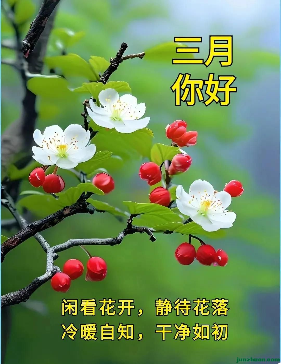 mmexport5e4a43e52198263b738427f14a2a3624_1772313380581.jpeg