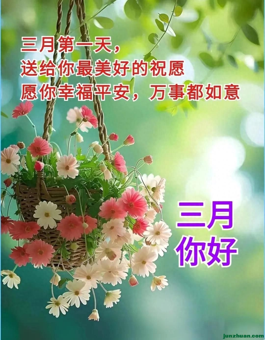 mmexport18863d577229eeb4e185e2d0b28eb7ab_1772313369662.jpeg