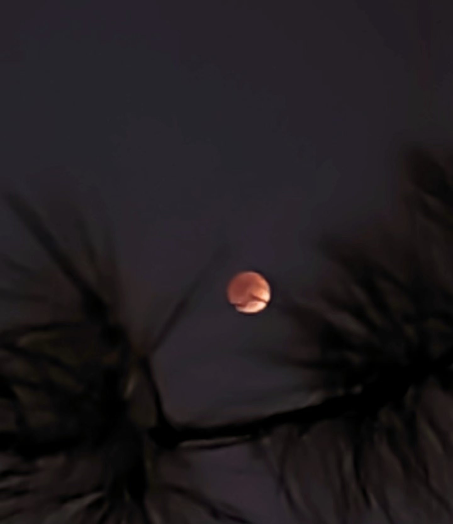 ��Ƭ��(2750)վ�ڼ��ſ����ֻ����ĺ�������