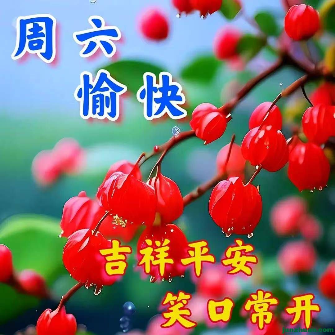 mmexport1778668854564.jpg