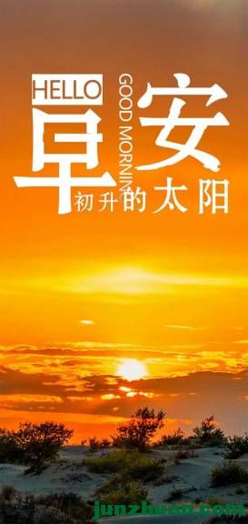 mmexport3fc79099af07e5df9831b5b81b5602ff_1778966461158.jpeg