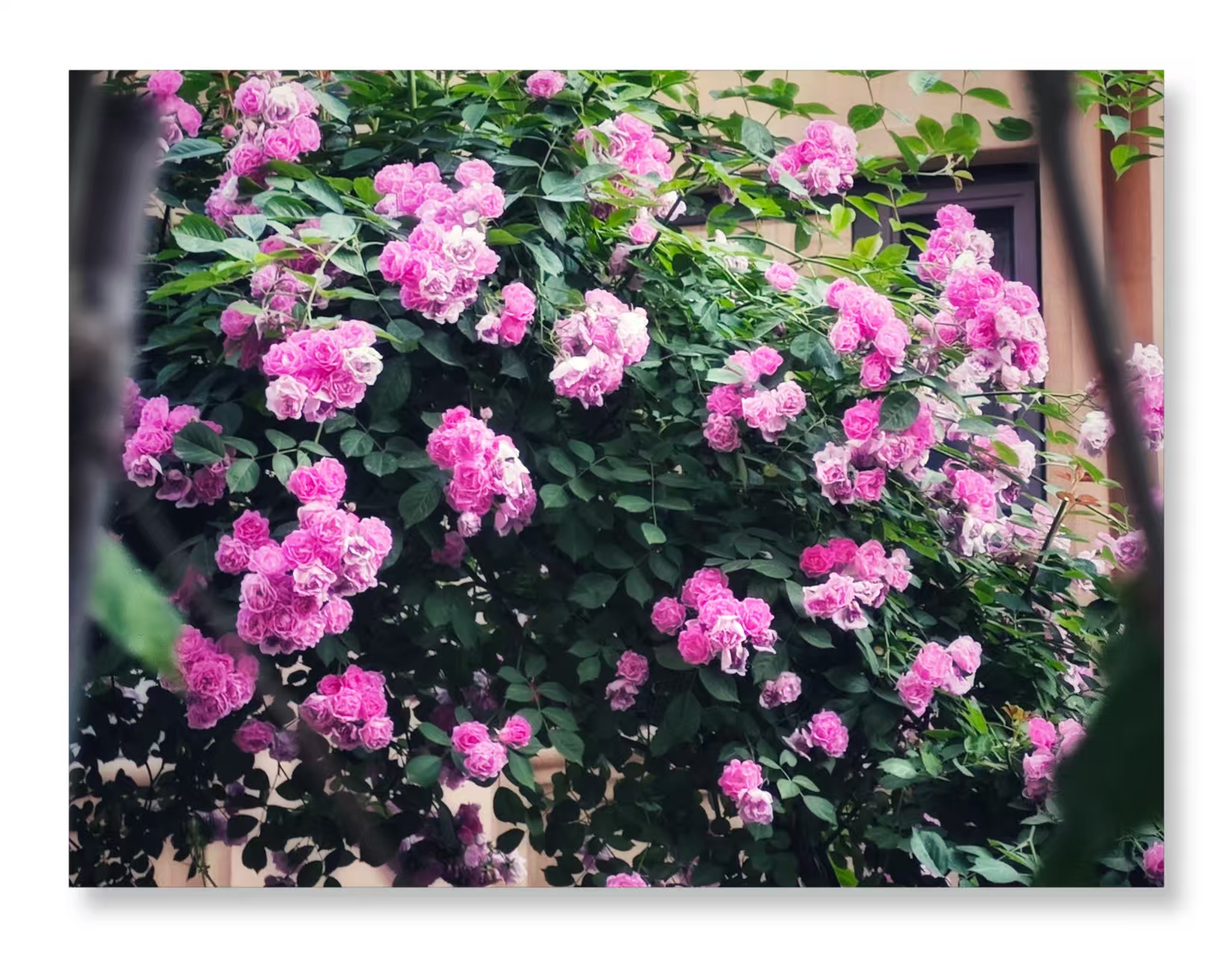 ΢��ͼƬ_20260518085332_635_96.jpg