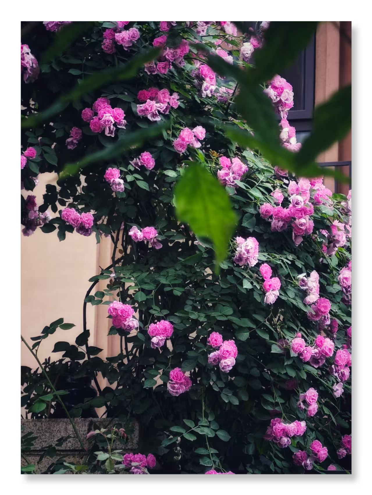 ΢��ͼƬ_20260518085334_637_96.jpg