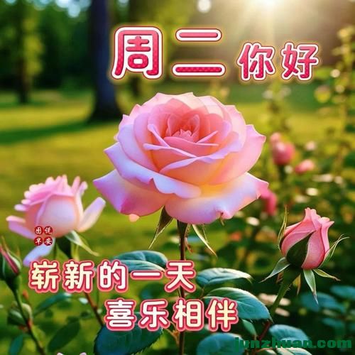 mmexport211692815daf53a13b2a666d50009dc2_1779138688619.jpeg