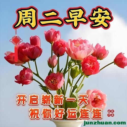 mmexportfe9ad510bd9ec567461546555108103f_1779740904161.jpeg