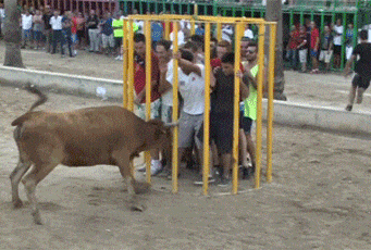 2024829214643.gif