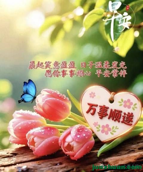 mmexport2b94831f9917b913009f2e72e1d9bbda_1779842919094.jpeg